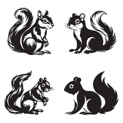 The squirrel black silhouette with white background