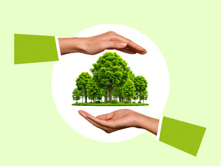 Two hands protect woods, world environment day concept, save the world, light green background, art collage