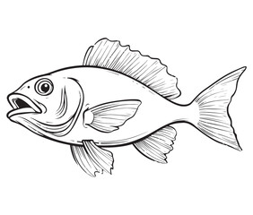 Illustration of a fish, Outline cod fish, Vector fish
