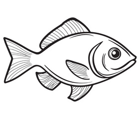 Illustration of a fish, Outline cod fish, Vector fish