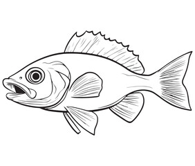 Illustration of a fish, Outline cod fish, Vector fish