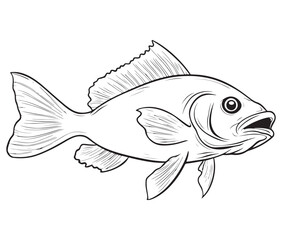 Illustration of a fish, Outline cod fish, Vector fish