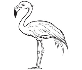 Illustration of a flamingo, Flamingo vector, Outline of a flamingo