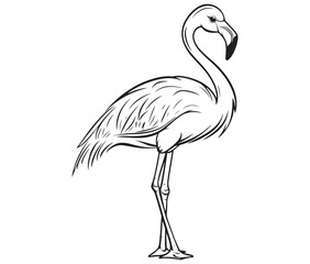 Fototapeta premium Illustration of a flamingo, Flamingo vector, Outline of a flamingo