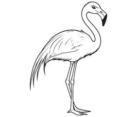 Fototapeta premium Illustration of a flamingo, Flamingo vector, Outline of a flamingo