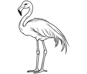 Illustration of a flamingo, Flamingo vector, Outline of a flamingo