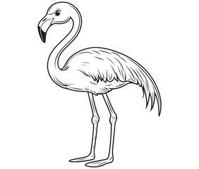 Illustration of a flamingo, Flamingo vector, Outline of a flamingo