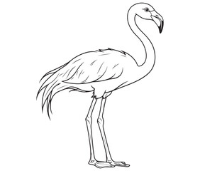 Illustration of a flamingo, Flamingo vector, Outline of a flamingo