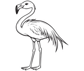 Illustration of a flamingo, Flamingo vector, Outline of a flamingo