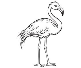 Fototapeta premium Illustration of a flamingo, Flamingo vector, Outline of a flamingo