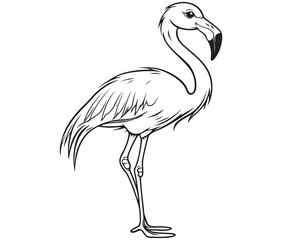 Illustration of a flamingo, Flamingo vector, Outline of a flamingo