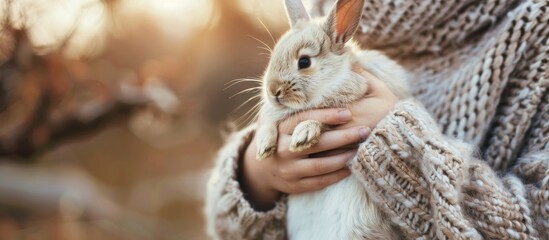 Obraz premium Girl Is Holding A Cute Little Rabbit