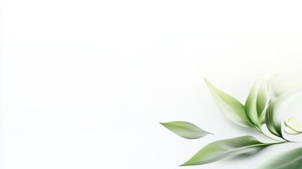 Fototapeta premium A soft gradient from green to white with smooth transitions, creating a nature-inspired effect on the white backdrop.