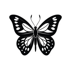 Butterfly vector silhouette