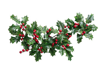 Boughs of holly for decoration Christmas isolated on transparent background.