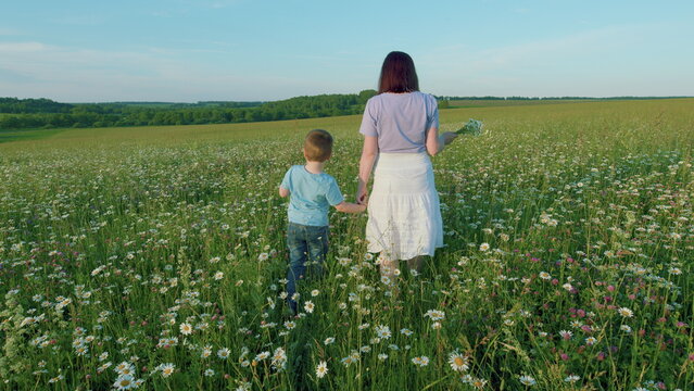 Happy Mother Holds Her Son Hands Walking On Meadow In Summer. Mom Holding Her Son Hand Walking In Park Silhouette At Sunset In Nature. Close Up.
