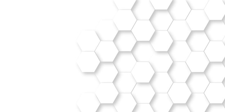 Vector abstract 3d white hexagon realistic mesh cell honeycomb texture. geometric white grid emboss hexagonal background. luxury emboss honeycomb white pattern shadow polygonal square web connection.
