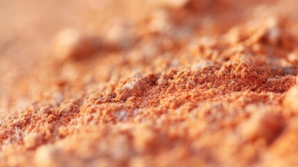 Detailed examination of Martian soil texture showcasing fine reddish-brown particles and geological features found on the surface