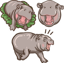 Clip art of  baby hippo on transparent background 