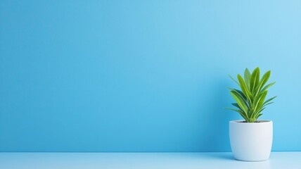 A vibrant indoor plant in a sleek white pot against a soothing blue wall, creating a calming and...