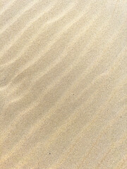 Sand Textured Background