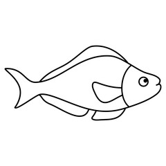 Obraz premium illustration of a fish