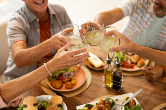 Toasting with drinks, senior diverse friends enjoying meal together at dining table, at home