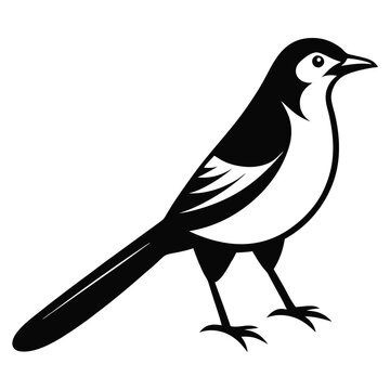 recommend clip art: Solid color Mockingbird animal vector design