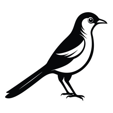 recommend clip art: Solid color Mockingbird animal vector design