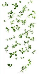 Fresh Thyme Leaves Floating in Mid-Air Generative AI