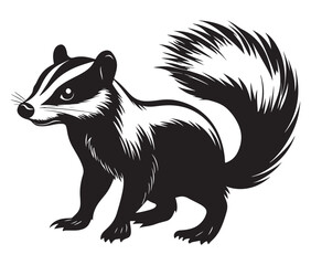 Obraz premium Black and white squirrel, Illustration of squirrel, Skunk vector