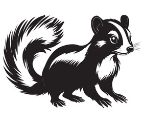 Black and white squirrel, Illustration of squirrel, Skunk vector