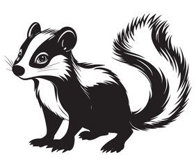 Black and white squirrel, Illustration of squirrel, Skunk vector