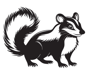 Black and white squirrel, Illustration of squirrel, Skunk vector