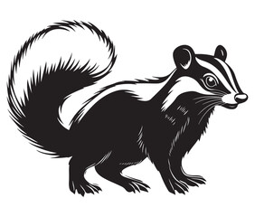Black and white squirrel, Illustration of squirrel, Skunk vector