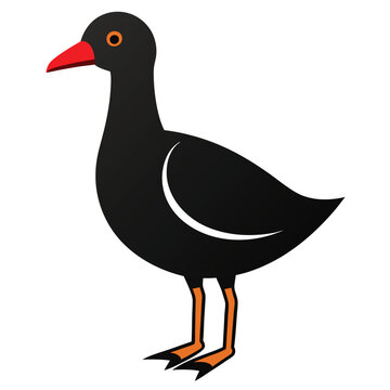 recommend clip art: Solid color Moorhen animal vector design