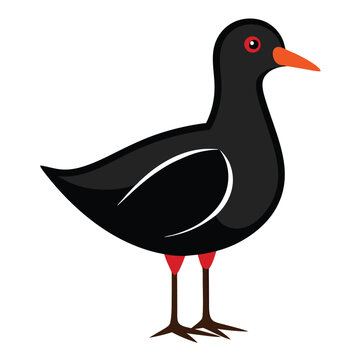 recommend clip art: Solid color Moorhen animal vector design