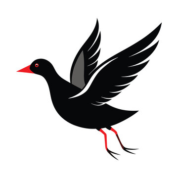 recommend clip art: Solid color Moorhen animal vector design