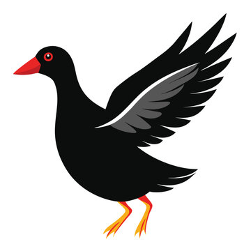 recommend clip art: Solid color Moorhen animal vector design