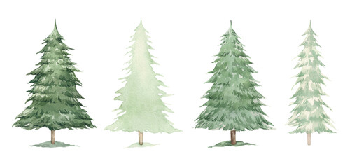 Watercolor set of green fir trees. Hand drawn illustration of coniferous trees, firs or spruces. Vernozelenok tree, symbol of New Year and Christmas.