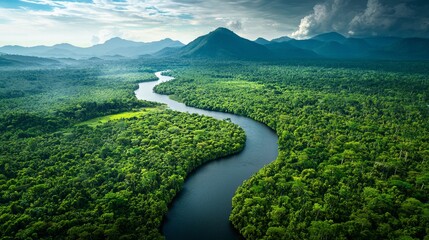 Lush Jungle Landscape with Meandering River and Mountains