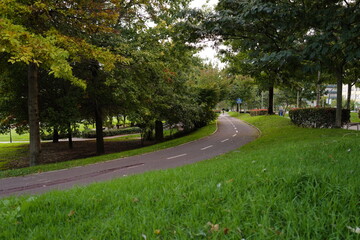 Naklejka premium Bike lane in the park