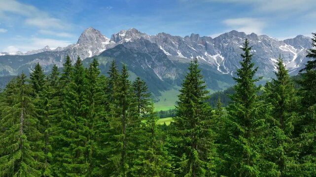 Panoramic shot of the European Alps. Aerial view of green spruce trees against backdrop of rocky mountains and green valleys. Summer in the Alps, active holidays in the mountains