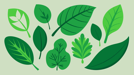Green leaves collection