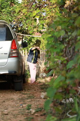 Asian mature woman, wearing hijab, cleaning yard, healthy environment