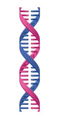 DNA