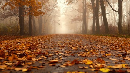 Obraz premium A foggy autumn morning with golden leaves covering the ground and a lone path stretching into the distance
