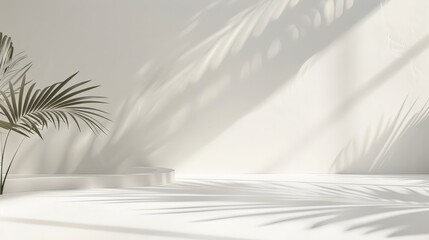 Obraz premium Minimalist White Background with Palm Shadow