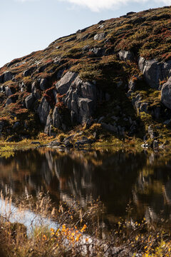 Arctic Stones: Silence of the North