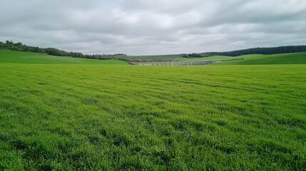 Obraz premium Green field on the dam